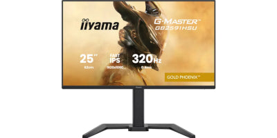 IIYAMA 62,0cm (24,5") GB2591HSU-B1 16:9 2xHDMI+DP+2xUSB-C